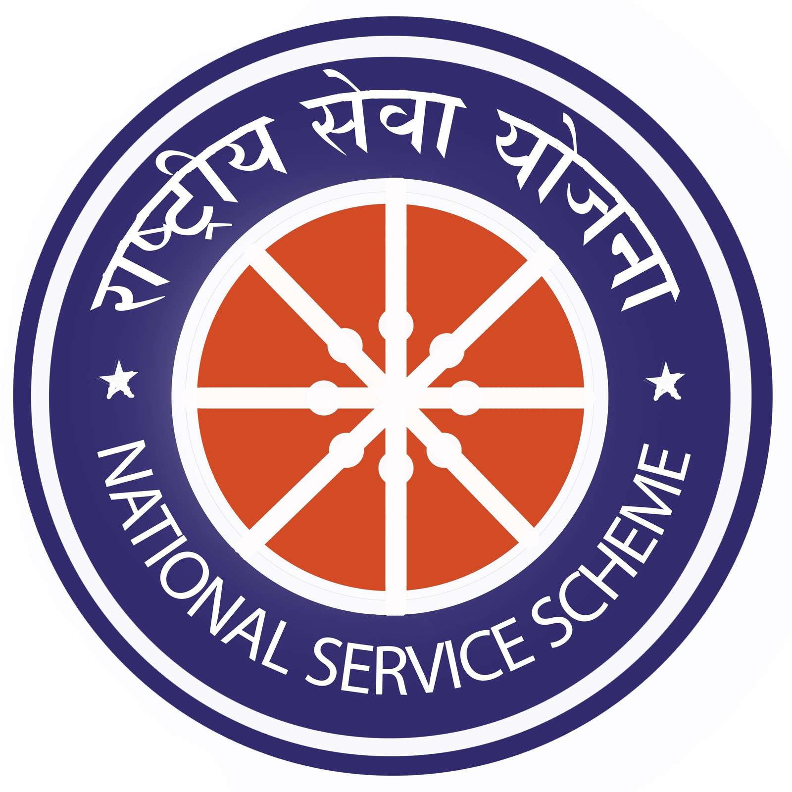 NSS Logo